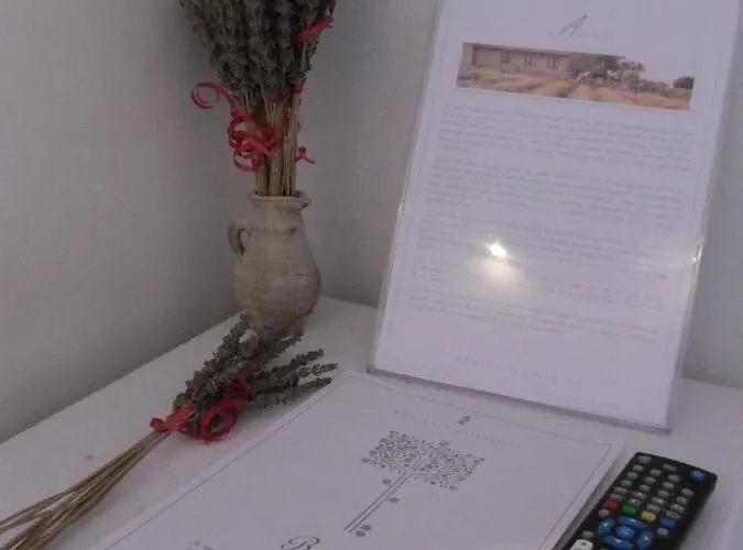 招待所 Fragus E Saboris De Sardigna *